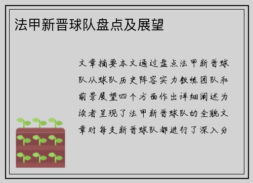 法甲新晋球队盘点及展望